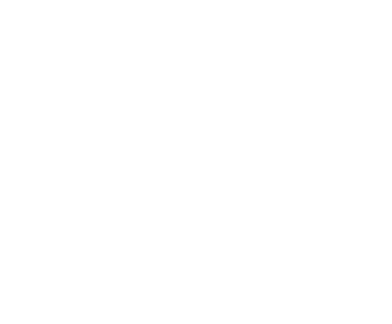 LOGO PALMA Y LOPEZ blanco